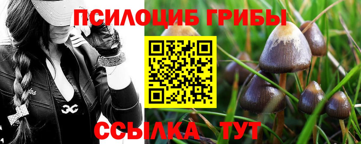 Галлюциногенные грибы Psilocybe  Псилоцибиновые грибы мухоморы  Вход с VPN  Лесосибирск 