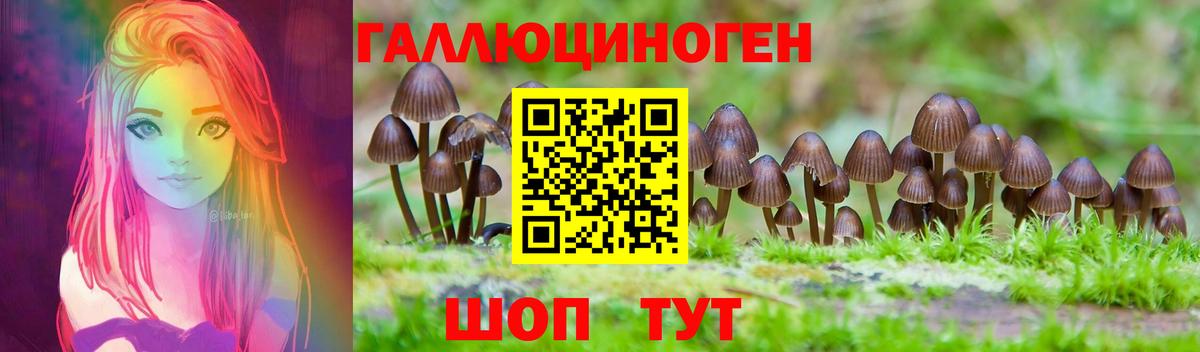 Галлюциногенные грибы MAGIC MUSHROOMS Лесосибирск